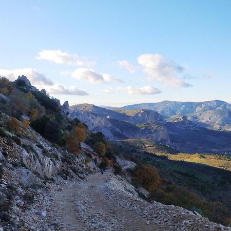 Tarifa 4 Daire Alicante Dış mekan fotoğraf